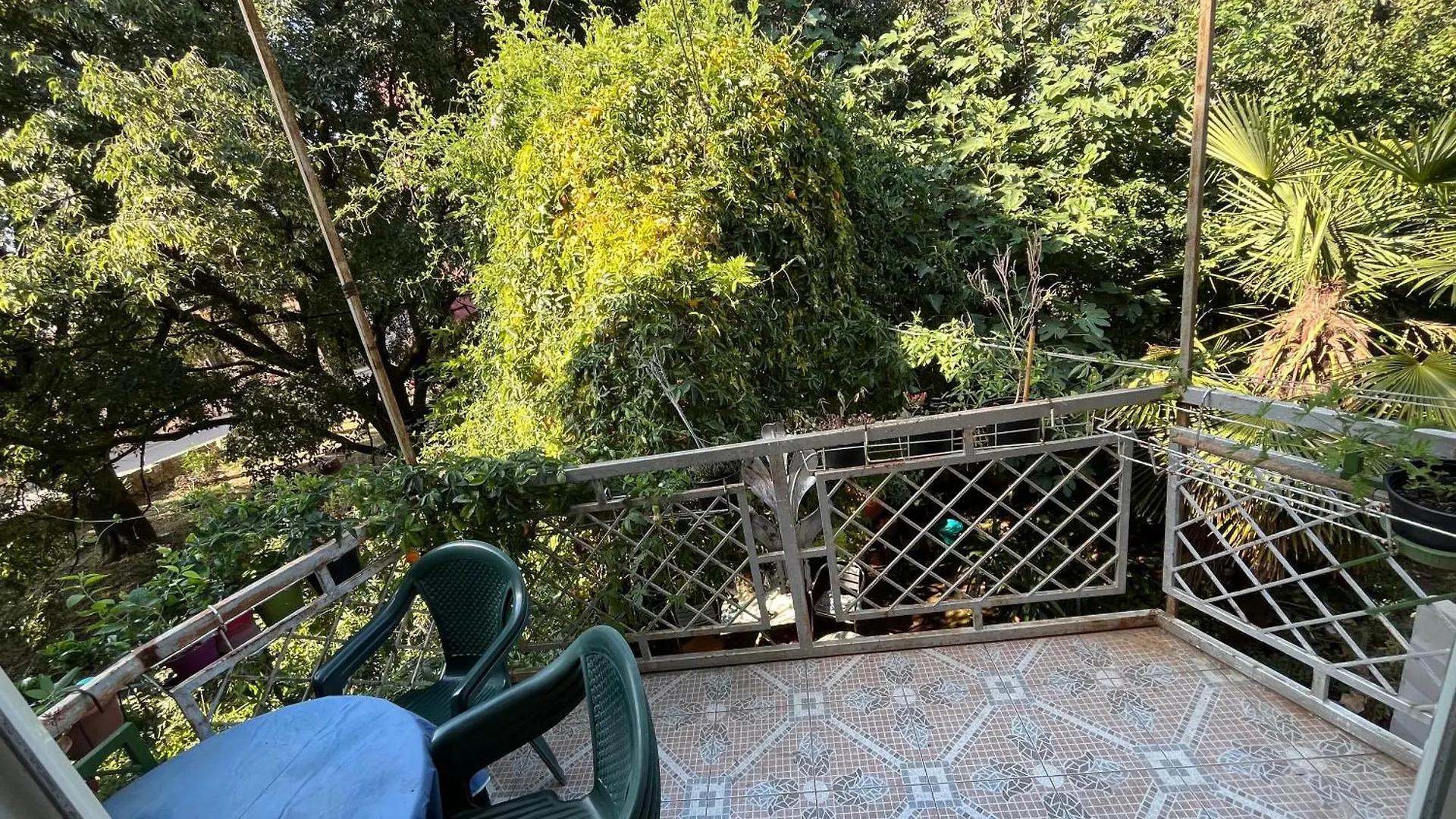 Διαμέρισμα Zeleni Apartman Πούλα